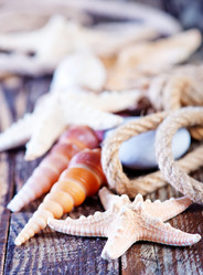 Similar image 8005186