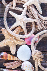 Similar image 8005202