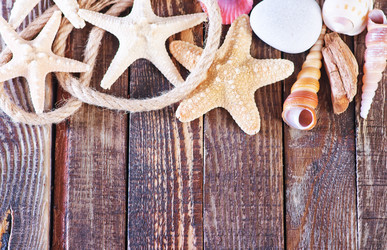 Similar image 8005211