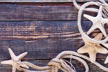 Similar image 8005214