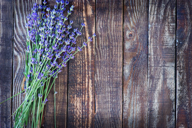 Similar image 8005223