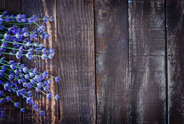 Similar image 8005225