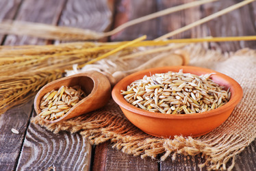 Similar image 8005261