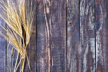 Similar image 8005271