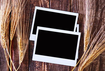 Similar image 8005274