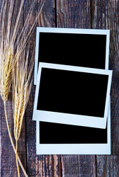 Similar image 8005275