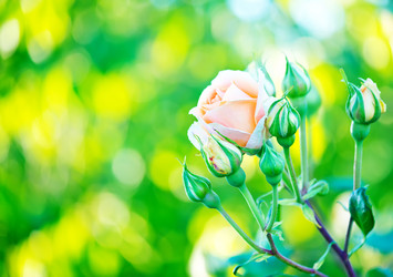 Similar image 8005402