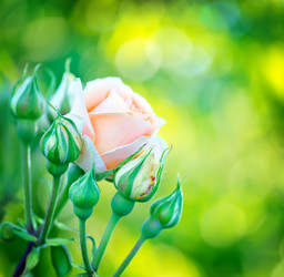 Similar image 8005403