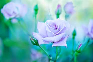 Similar image 8005404