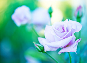 Similar image 8005405