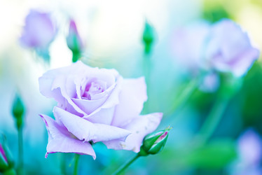 Similar image 8005406