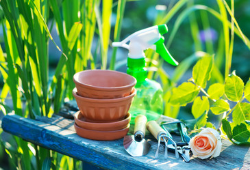 Similar image 8005409