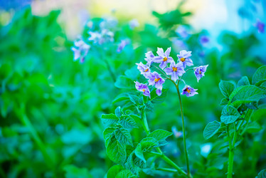 Similar image 8005418