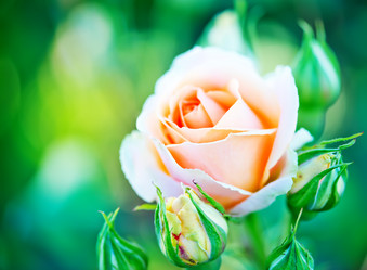 Similar image 8005419