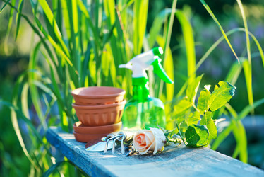 Similar image 8005421