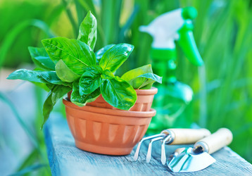 Similar image 8005431