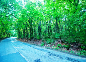 Similar image 8005438