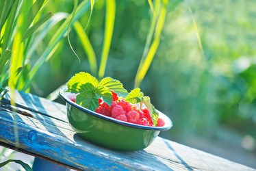 Similar image 8005439