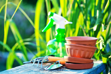 Similar image 8005441