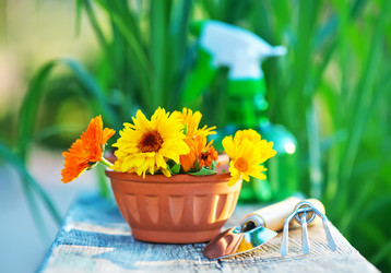 Similar image 8005454