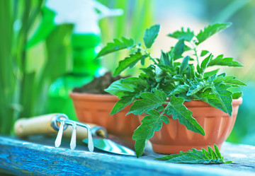 Similar image 8005459