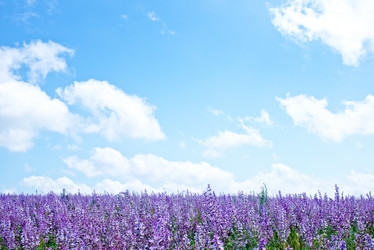 Similar image 8005471