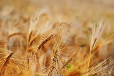 Similar image 8005472