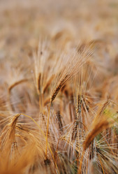 Similar image 8005474