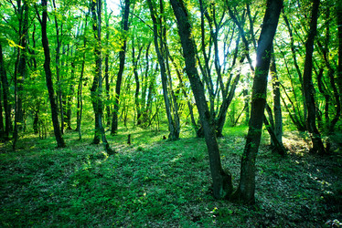 Similar image 8005491