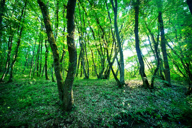 Similar image 8005492