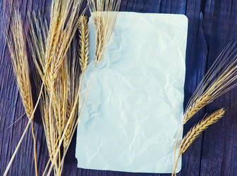 Similar image 8005531