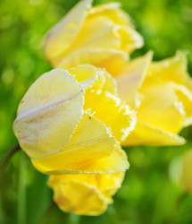 Similar image 8005622