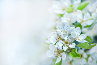 Similar image 8005633