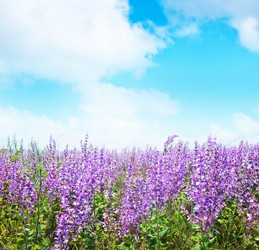 Similar image 8005641