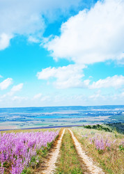 Similar image 8005645