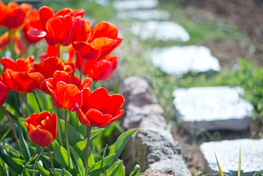 Similar image 8005650