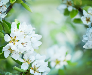 Similar image 8005657