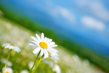 Similar image 8005680