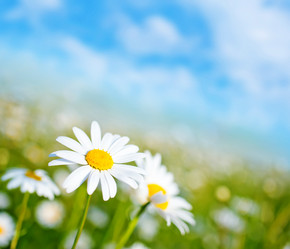 Similar image 8005688