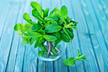 Similar image 8005719