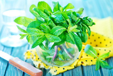 Similar image 8005728