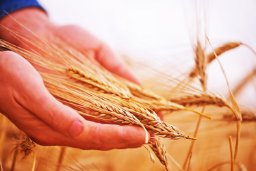 Similar image 8005732