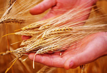 Similar image 8005736