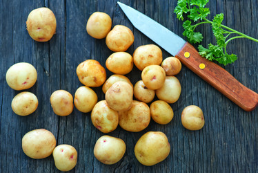 Similar image 8005933