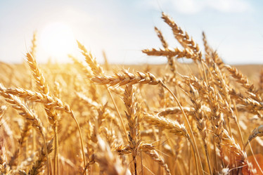 Similar image 8005985