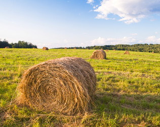 Similar image 8005990