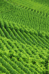 Similar image 8005994