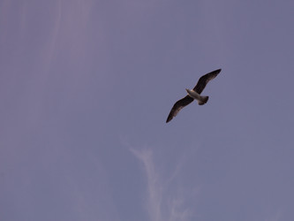 Similar image 8006012