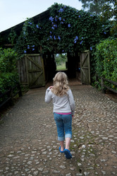 Similar image 8006018