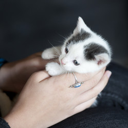 Similar image 8006022